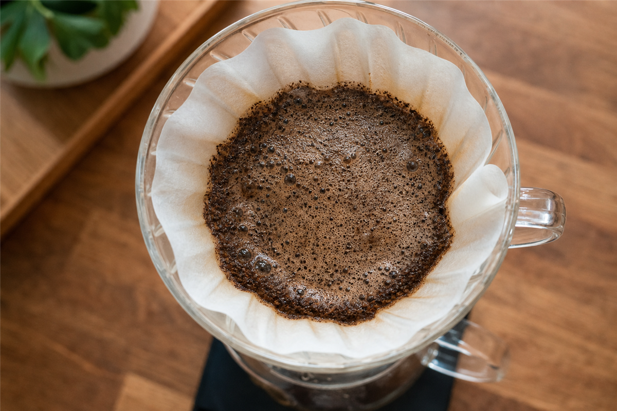 Coffee grounds blooming in a pour-over dripper after the first slow pour of hot water